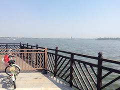 -武清南湖绿博园