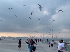 -东港音乐喷泉广场