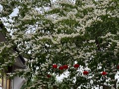 -鼓楼(西湖风景名胜区)