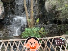 -天目湖山水园