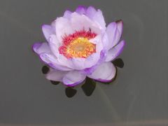 -陕西省西安植物园