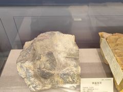 -湖南省地质博物馆