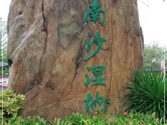 -大湾区中央湿地公园
