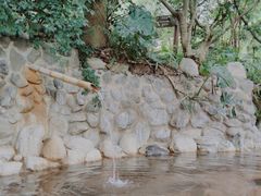 -湖泉半山温泉