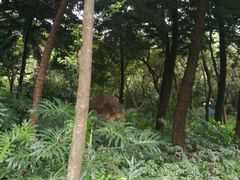 -云溪植物园