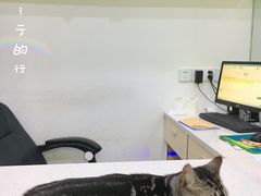 -贝利宠物医院·骨科·眼科·肿瘤转诊中心(南坪诊疗中心)