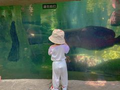 -青青世界