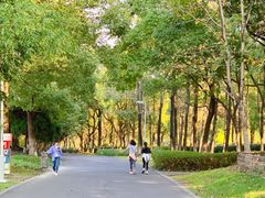 -白塘生态植物园