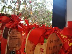 -海南文笔峰盘古文化旅游区