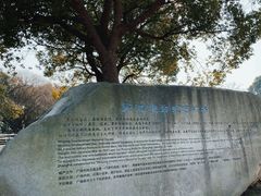 -上海吴淞炮台湾国家湿地公园
