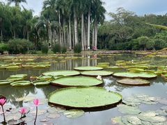 -中国科学院西双版纳热带植物园