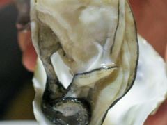 -杭州钱江新城万怡酒店-西餐厅