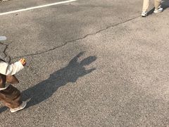 -黄金博物馆