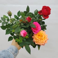 -Mregina 美人纪摄影(样片研发中心)