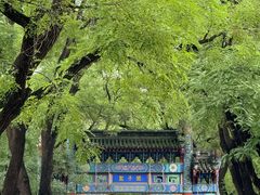 -北京国子监胡同