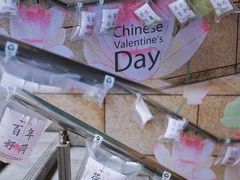 -合肥蜀山万象汇