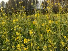 -长春公园(普阳街道)