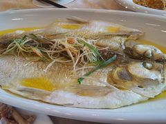 鸡油蒸白鱼-王興記(中山路店)