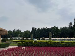 -东南花都花博园