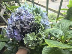 -老闵田螺馆·南昌特色小炒(梦时代店)