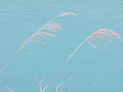 -大渡河峡谷国家地质公园