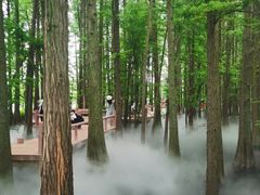 -东湖落雁景区