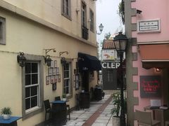 -新陶陶酒家