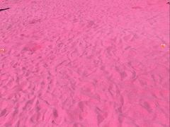 -春花秋色城市公园