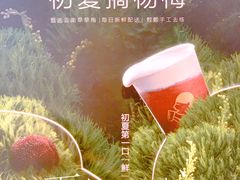 -喜茶(南京仙林金鹰店)
