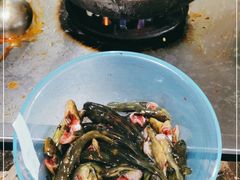 -彭大姐老店黄辣丁(新津店)