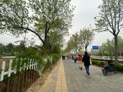 -回龙观体育文化公园