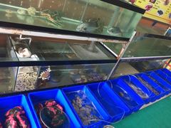 -QQ海鲜餐厅