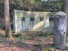 -午潮山国家森林公园