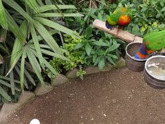 -南宫五洲植物乐园