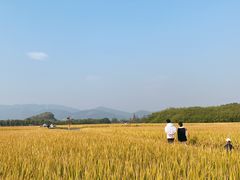 -良渚古城遗址公园