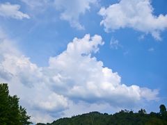 -虹口漂流