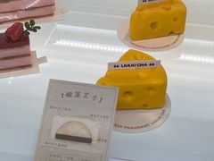 -TD66高山铁皮石斛养生茶饮