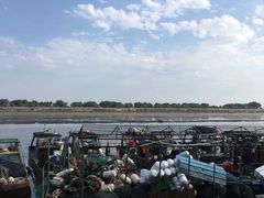 -大湾区中央湿地公园-十九涌