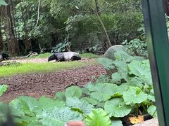 -广州长隆野生动物世界