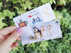 -TrueLove @ Neverland (Husky Cafe)
