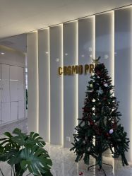 点击看大图 -COSMO PRO造型
