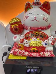 -洗脸熊·洗脸吧