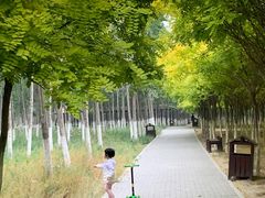 -西青郊野公园