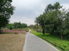 -白鹭湾湿地公园