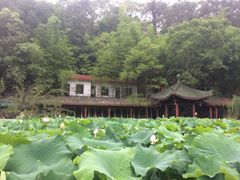 -富乐山
