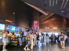 -金逸影城(宝安大仟里IMAX激光店)