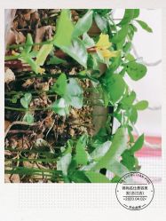 点击看大图 -锦尚名仕美容美发