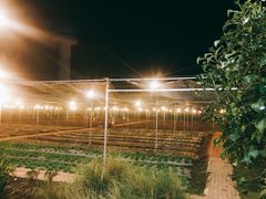-Ohkajhu Organic Farm Sansai