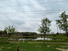 -昆山城市生态森林公园