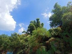 -广东天露山旅游度假区